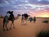 Beaux paysages mauritaniens
