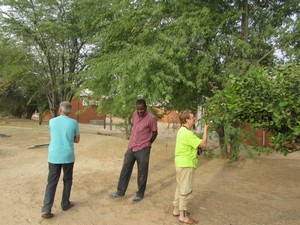 Nos bénévoles observent les plantations